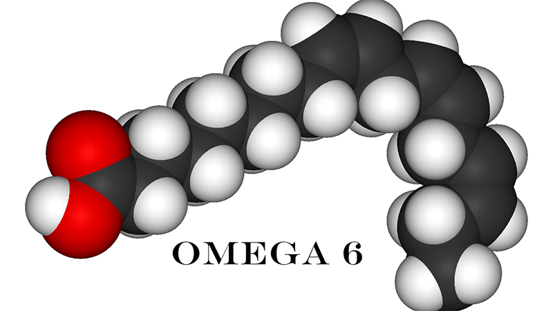 What is Omega 6?