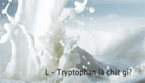 Tryptophan là chất gì?