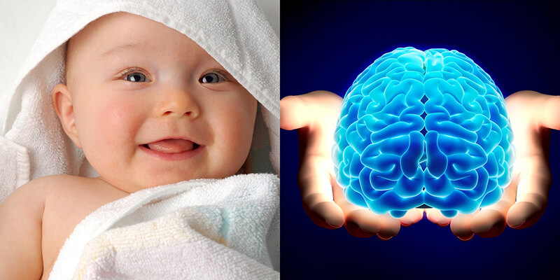 Acid sialic cần thiết cho quá trình hình thành não bộ ở trẻ