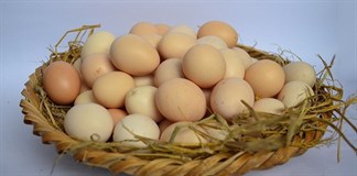 Trứng gà - Sử dụng thế nào để tốt cho sức khoẻ?