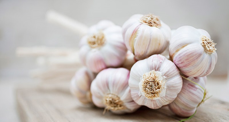 Đuổi muỗi bằng tỏi Đuổi muỗi bằng tỏi