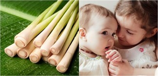 Nhà có con nhỏ, làm những cách sau để phòng bệnh sốt xuất huyết