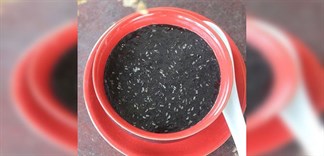 Top 4 loại thực phẩm "màu đen" tốt cho sức khỏe của bạn