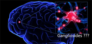 Gangliosides là chất gì?
