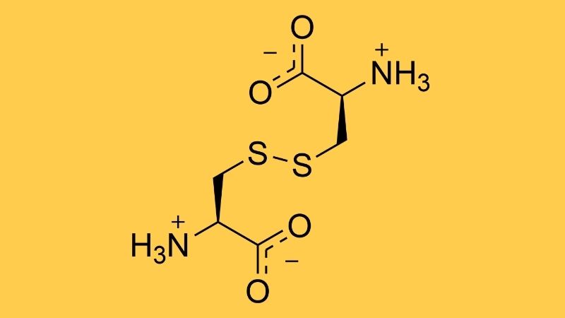 Cystine là gì? Công dụng của Cystine với sức khỏe