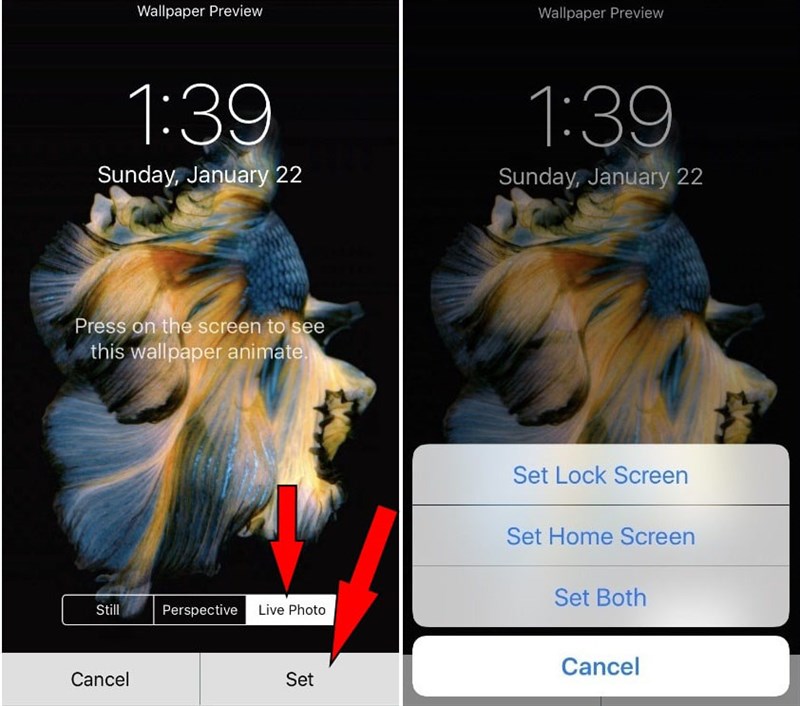 Cách để đặt hình nền động trên iPhone  Fptshopcomvn