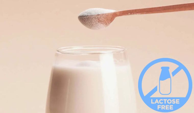 Sữa bột không đường lactose là gì?