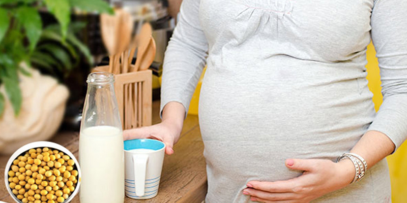 Sữa từ các loại hạt cũng không kém phần dinh dưỡng cho mẹ bầu
