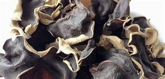 Bạn đã sử dụng nấm mèo khô đúng cách?
