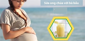 Công dụng của sữa ong chúa với bà bầu và thai nhi