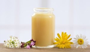 Sữa ong chúa là gì và cách sử dụng nó như thế nào?