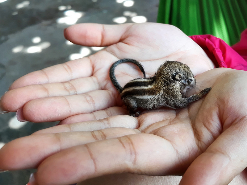 Samsung J7pro 2017 Samsung J7pro 2017