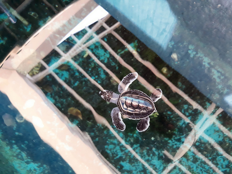 Samsung J7pro 2017 Samsung J7pro 2017