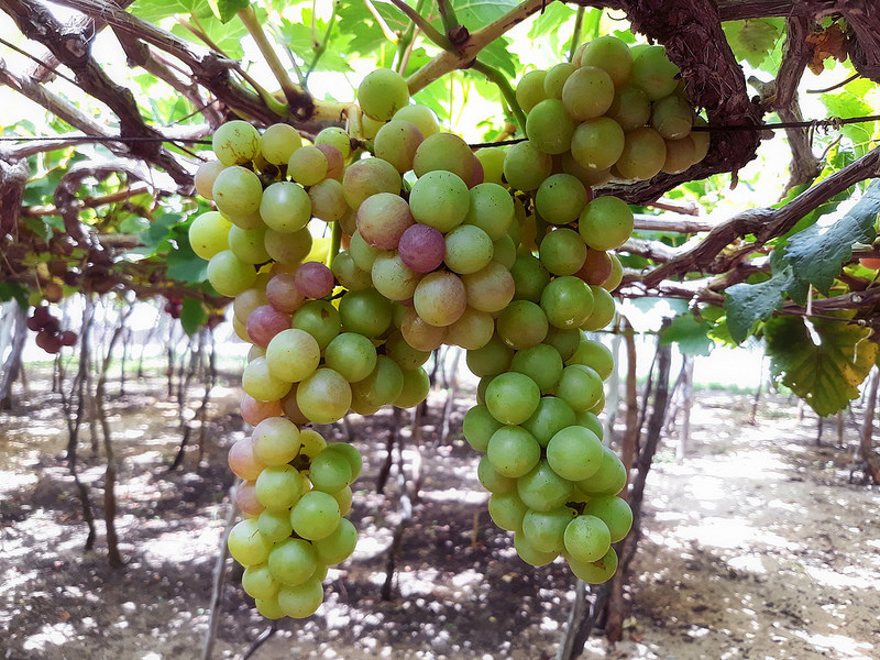 Samsung J7pro 2017 Samsung J7pro 2017