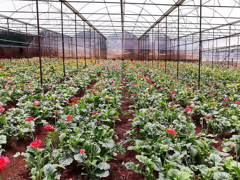 Samsung J7pro 2017 Samsung J7pro 2017