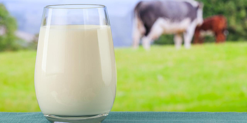 Tẩy trang bằng sữa tươi – bạn đã biết?