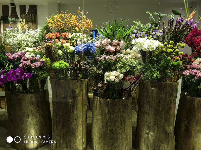 Đánh giá camera Xiaomi Mi 6