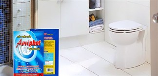 Cách sử dụng bột thông cầu