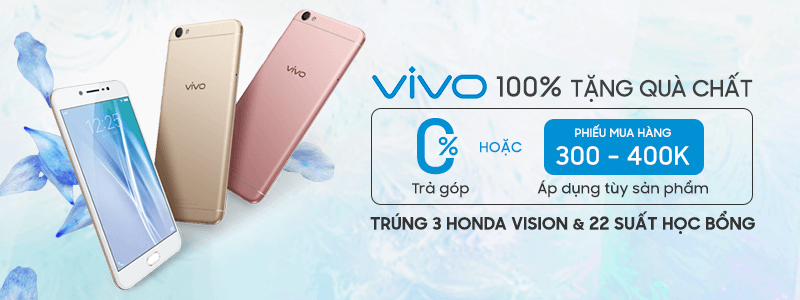 vivo_800x300