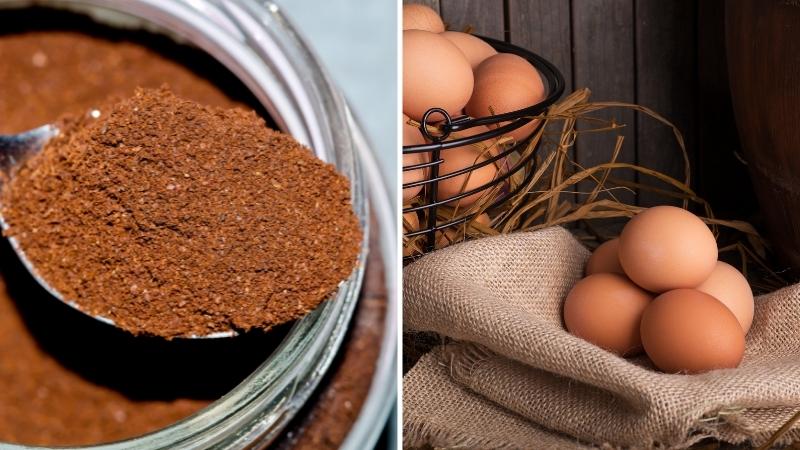 Nourish hair with coffee and eggs