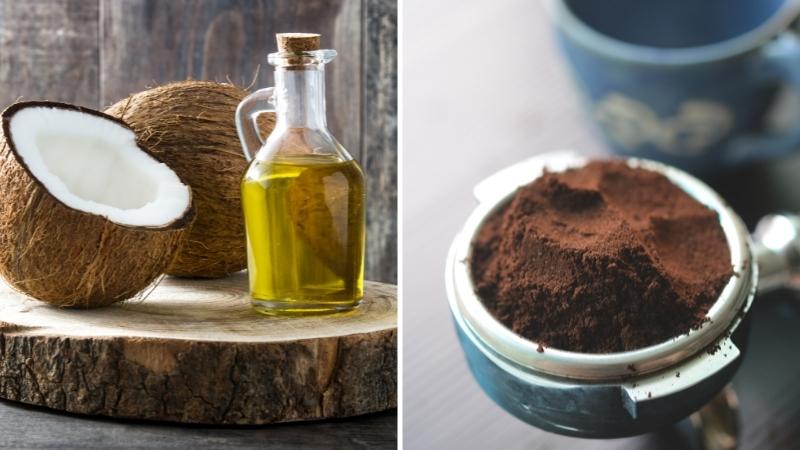 Moisturize hair with coffee and coconut oil