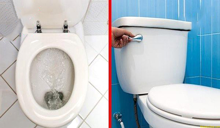 Nên đóng hay mở nắp bồn cầu sau khi đi vệ sinh?