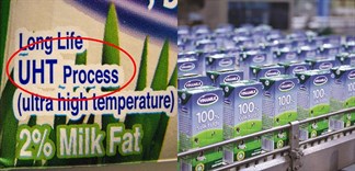 Sữa tươi tiệt trùng là gì?