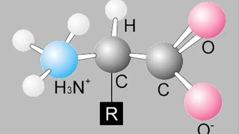 Công thức hóa học của Axit amin