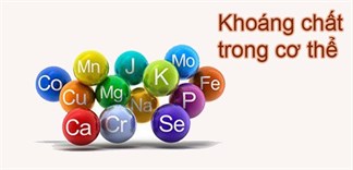 Khoáng chất trong cơ thể con người và tầm quan trọng của nó