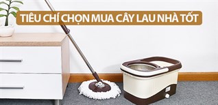 7 tiêu chí chọn mua cây lau nhà tốt nhất bạn nên biết