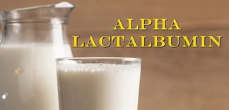 Alpha lactalbumin là gì?