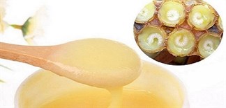 Cách cho bé uống sữa ong chúa