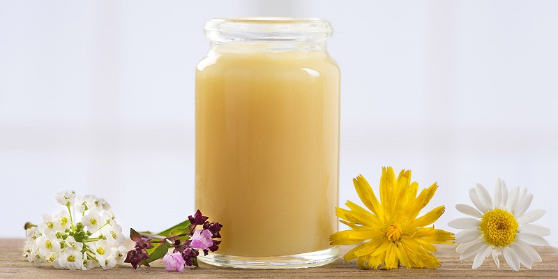 Sữa ong chúa có tác dụng gì đối với bé? Sữa ong chúa có tác dụng gì đối với bé?