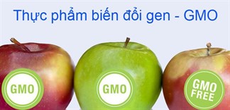 Thực phẩm biến đổi gen tốt hay xấu?