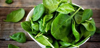 Cải bó xôi - Rau chân vịt là gì? Công dụng và nguy cơ cải bó xôi