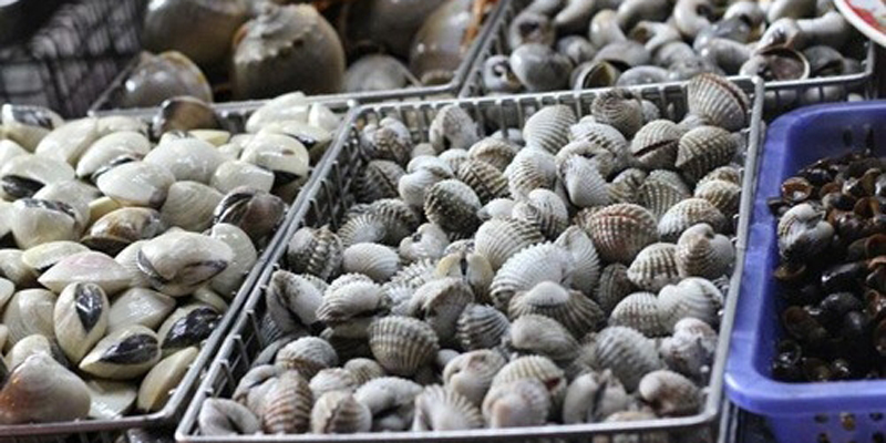 hải sản hải sản