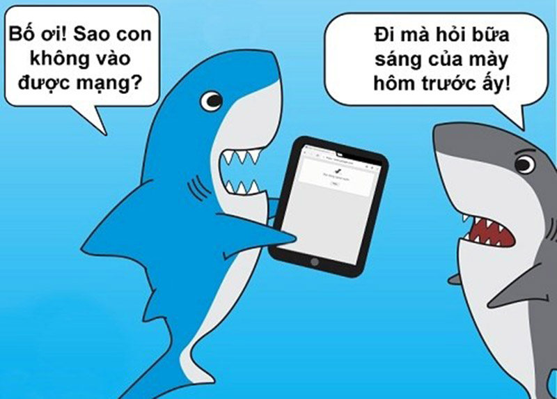 Cá mập: \