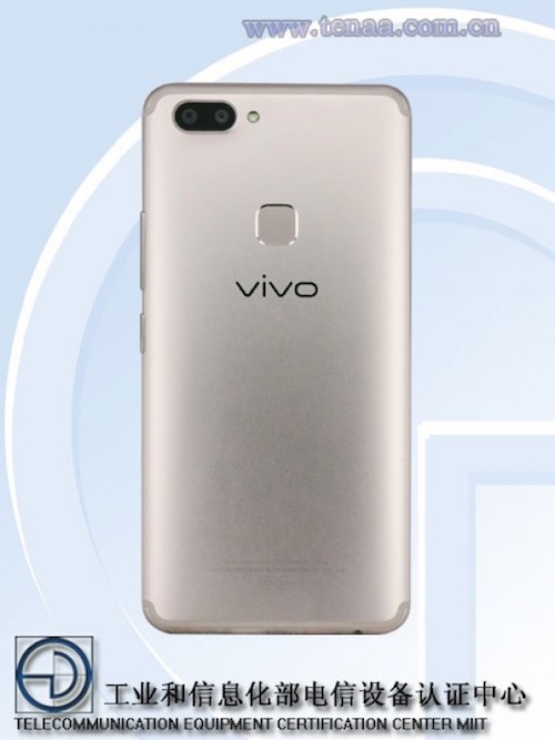 Vivo Vivo