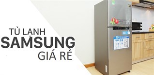 Top 5 tủ lạnh Samsung giá rẻ hấp dẫn