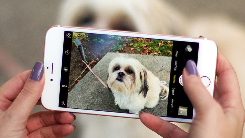 iPhone 6s Plus - camera iPhone 6s Plus - camera