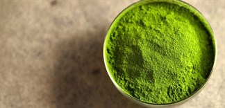 7 bí mật về matcha có thể bạn chưa biết?