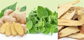 Gừng, cam thảo và bạc hà: Bài thuốc chữa nghiện thuốc lá hiệu quả!