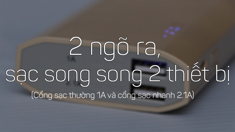 SDP eSaver 10.000 mAh LA Y325 có hai ngõ ra