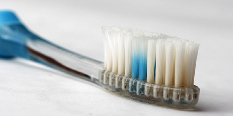 Vì sao gián thích bu bàn chải đánh răng?
