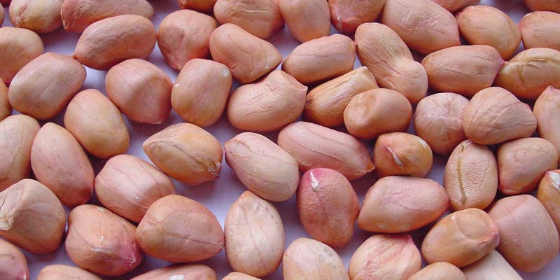 hạt đậu