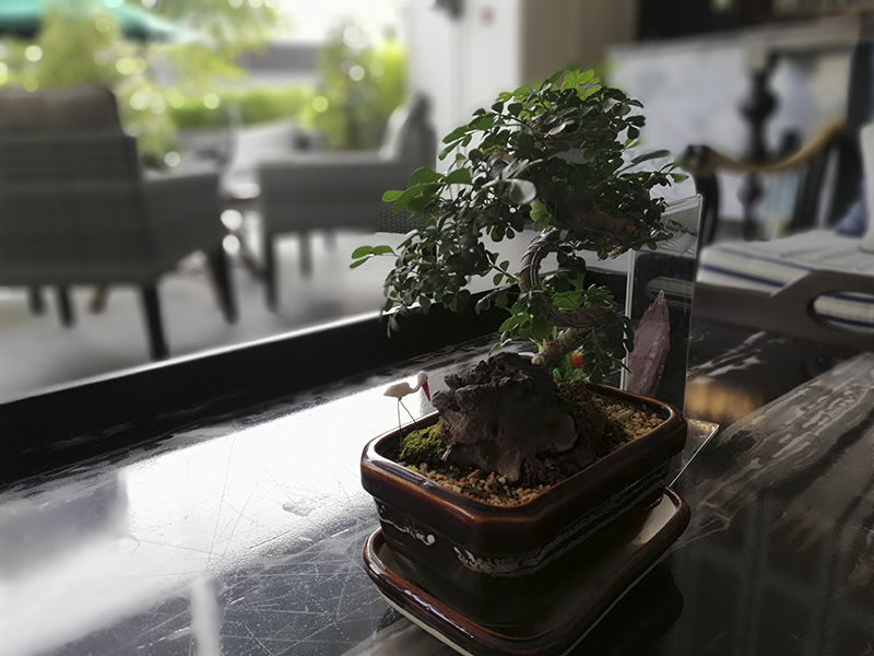 Đánh giá camera Huawei Nova 2i Đánh giá camera Huawei Nova 2i