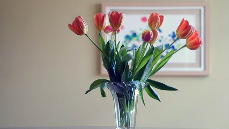 Giữ hoa tươi lâu hơn