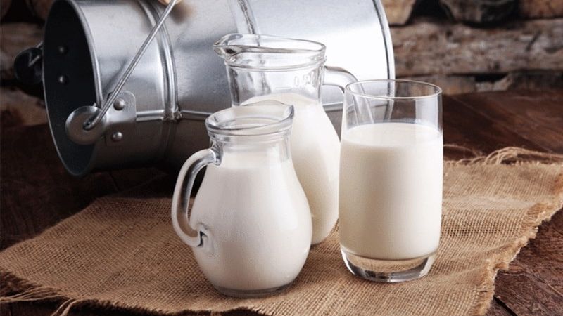 Sữa tươi có chứa acid lactic với khả năng phục hồi làn da bị tổn thương