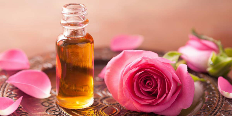 Tinh dầu chiết xuất từ hoa hồng