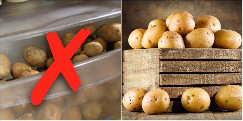 Vì sao tuyệt đối không bảo quản khoai tây trong tủ lạnh?